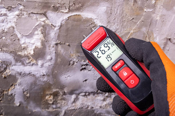 Best Crawl Space Mold Remediation in Walce Ridge, LA