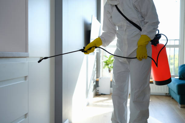 Best Industrial Mold Remediation in Walce Ridge, LA