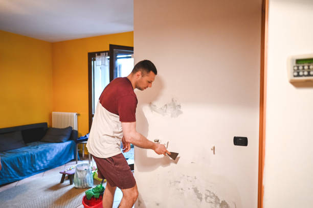 Best Black Mold Remediation in Walce Ridge, LA